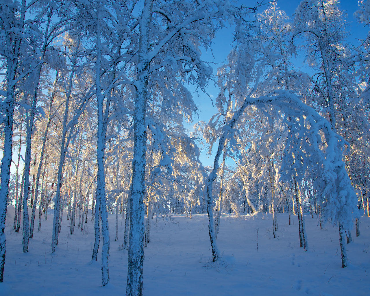 Кируна, Швеция