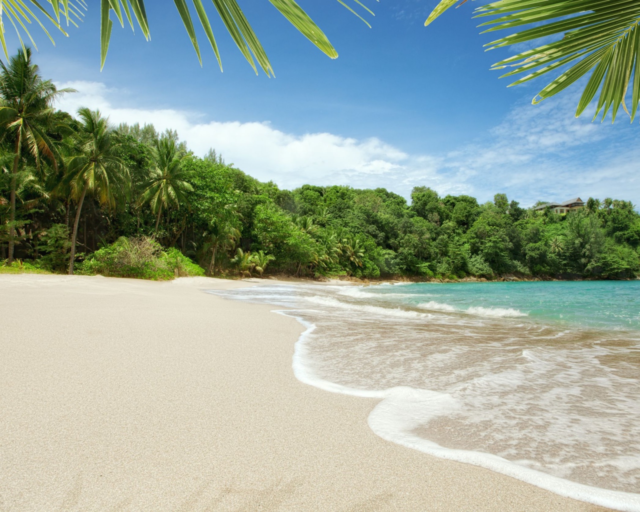 Пляж на острове Тао, Таиланд