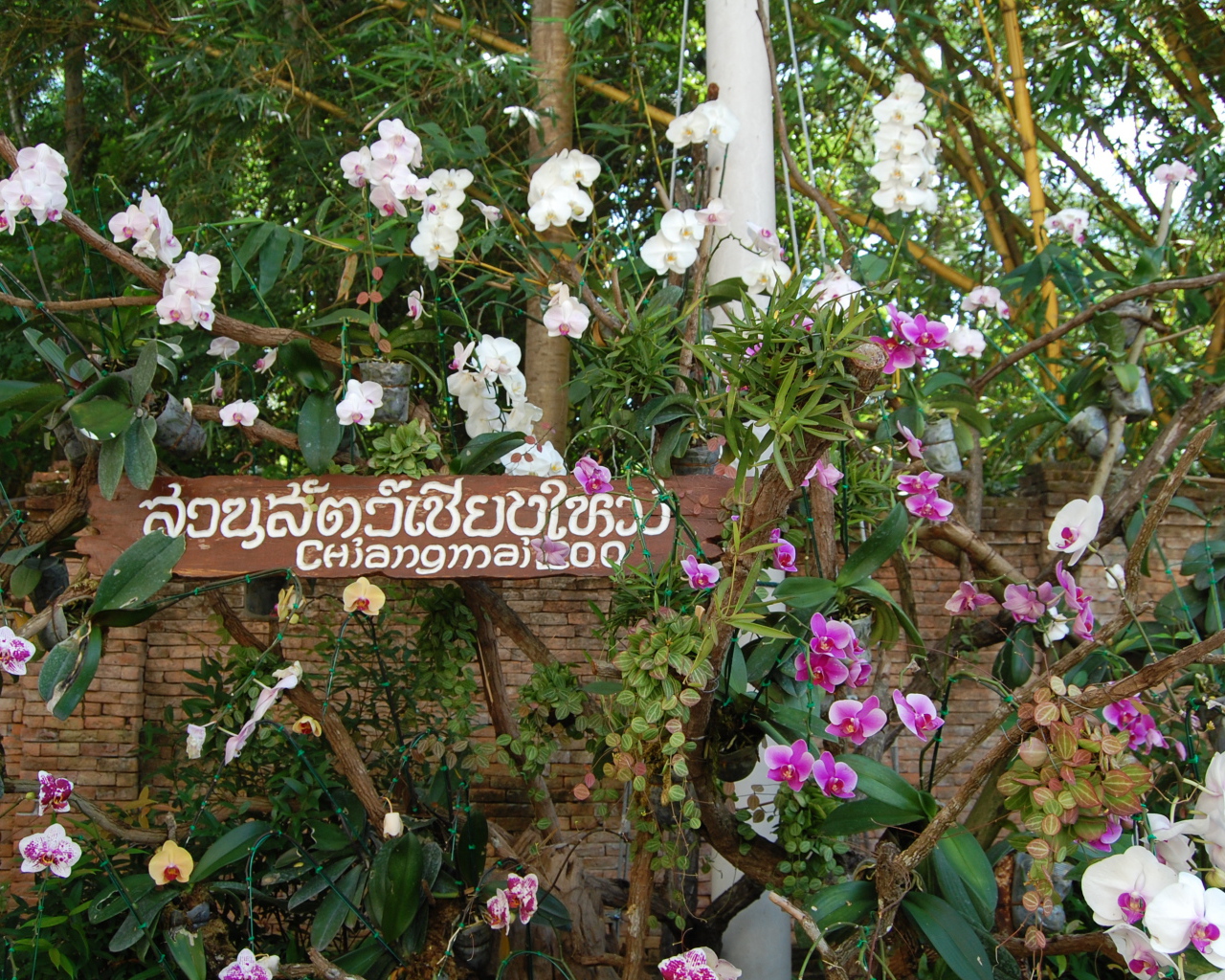 Ботанический сад на курорте Чианг Май, Таиланд