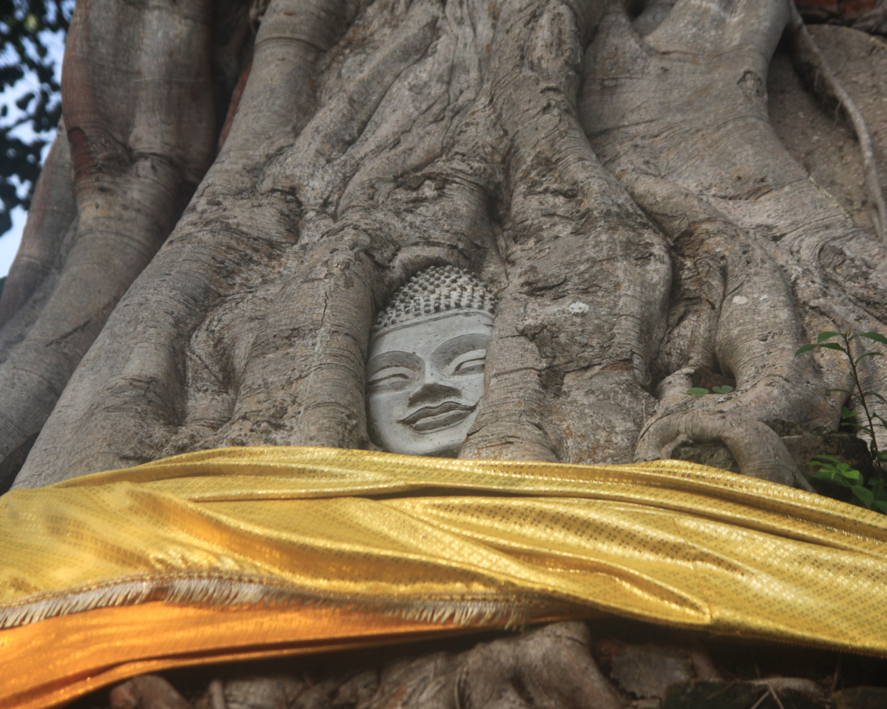 Лицо Будды на курорте Лопбури, Таиланд