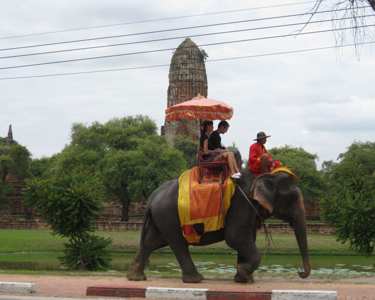 Прогулка на слоне на курорте Чианг Май, Таиланд