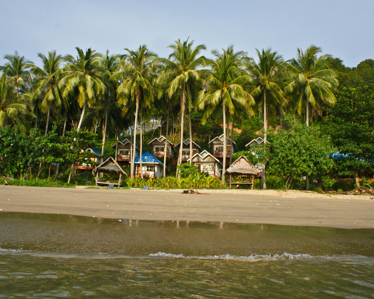 Дома среди пальм на острове Тао, Таиланд
