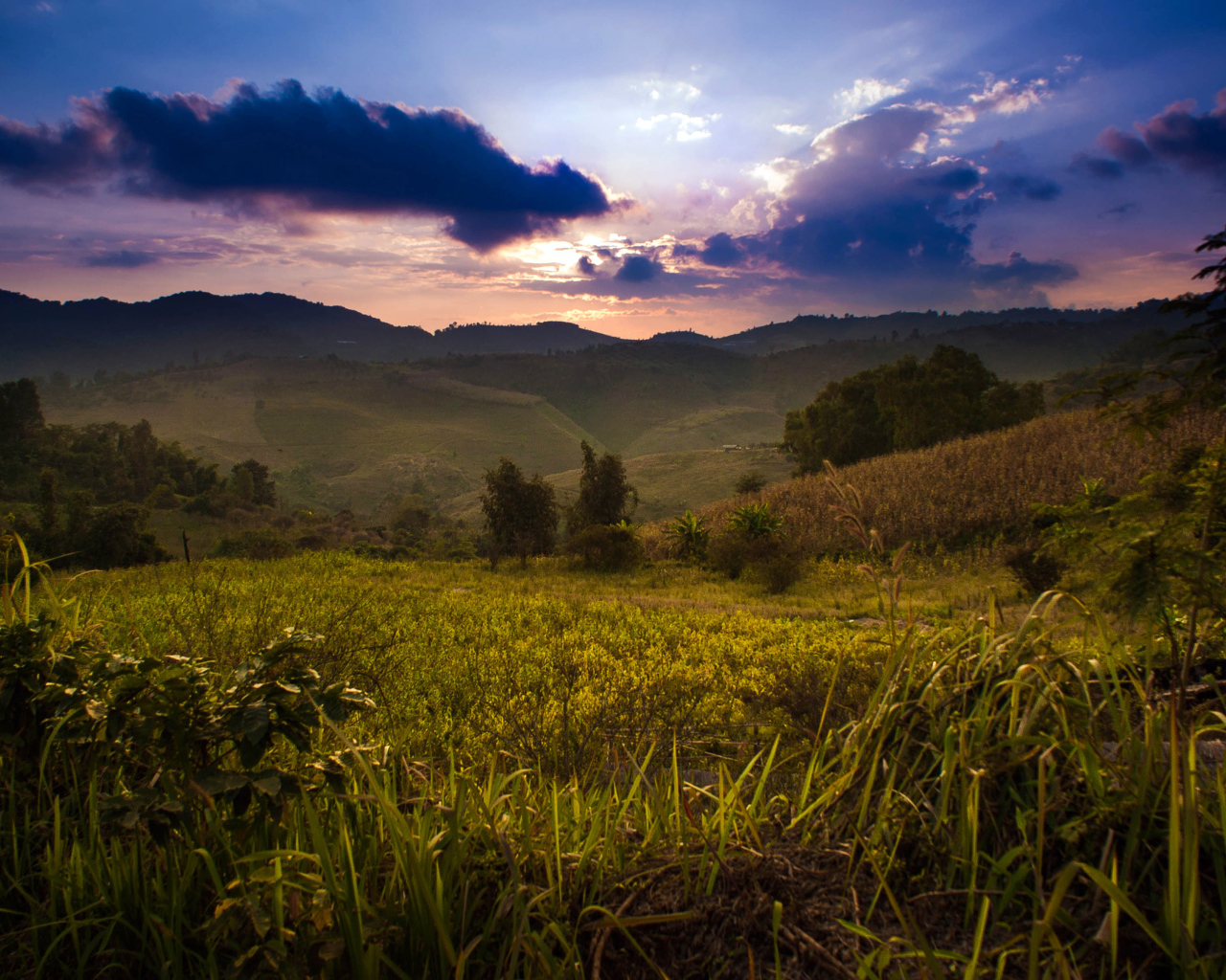 Недалеко от деревни Мае Салонг в Таиланде