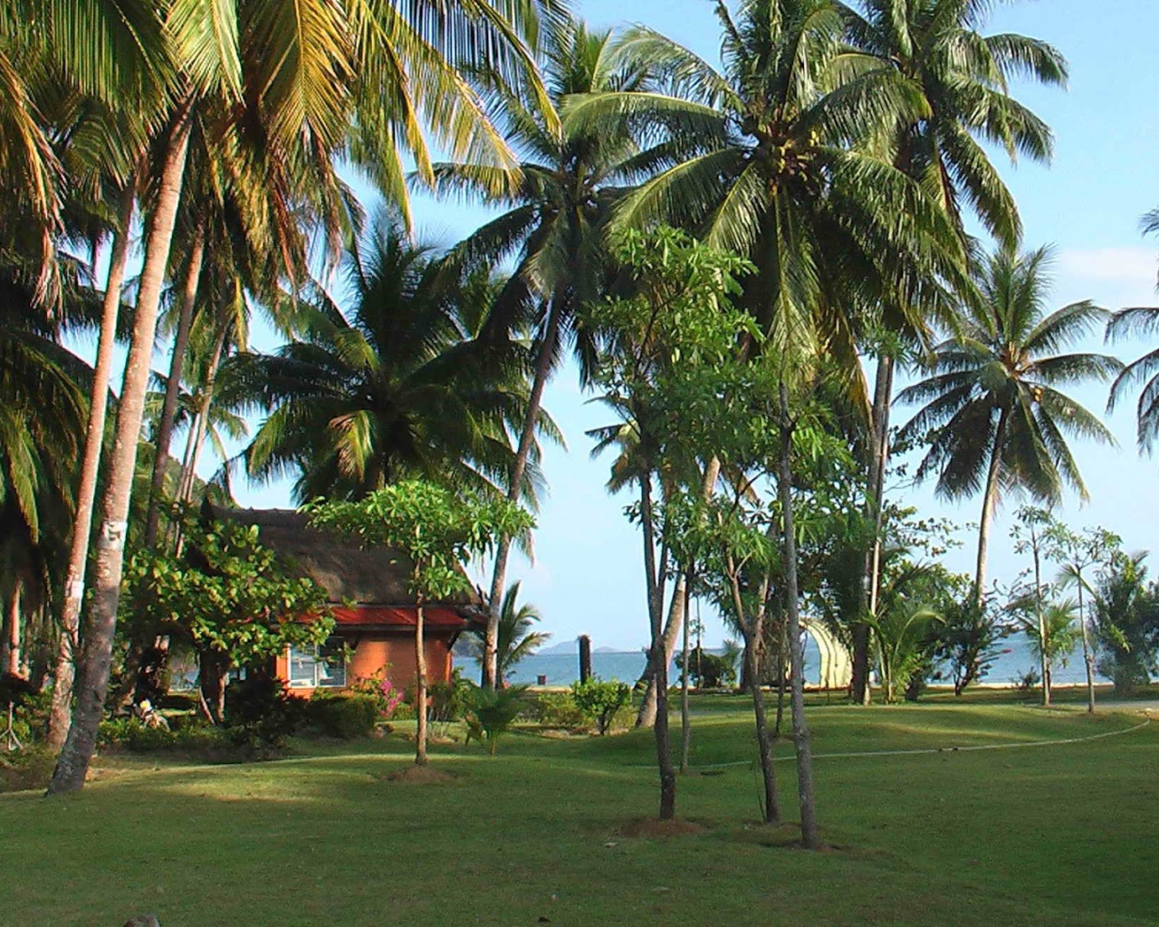Пальмы на побережье на острове Чанг, Таиланд