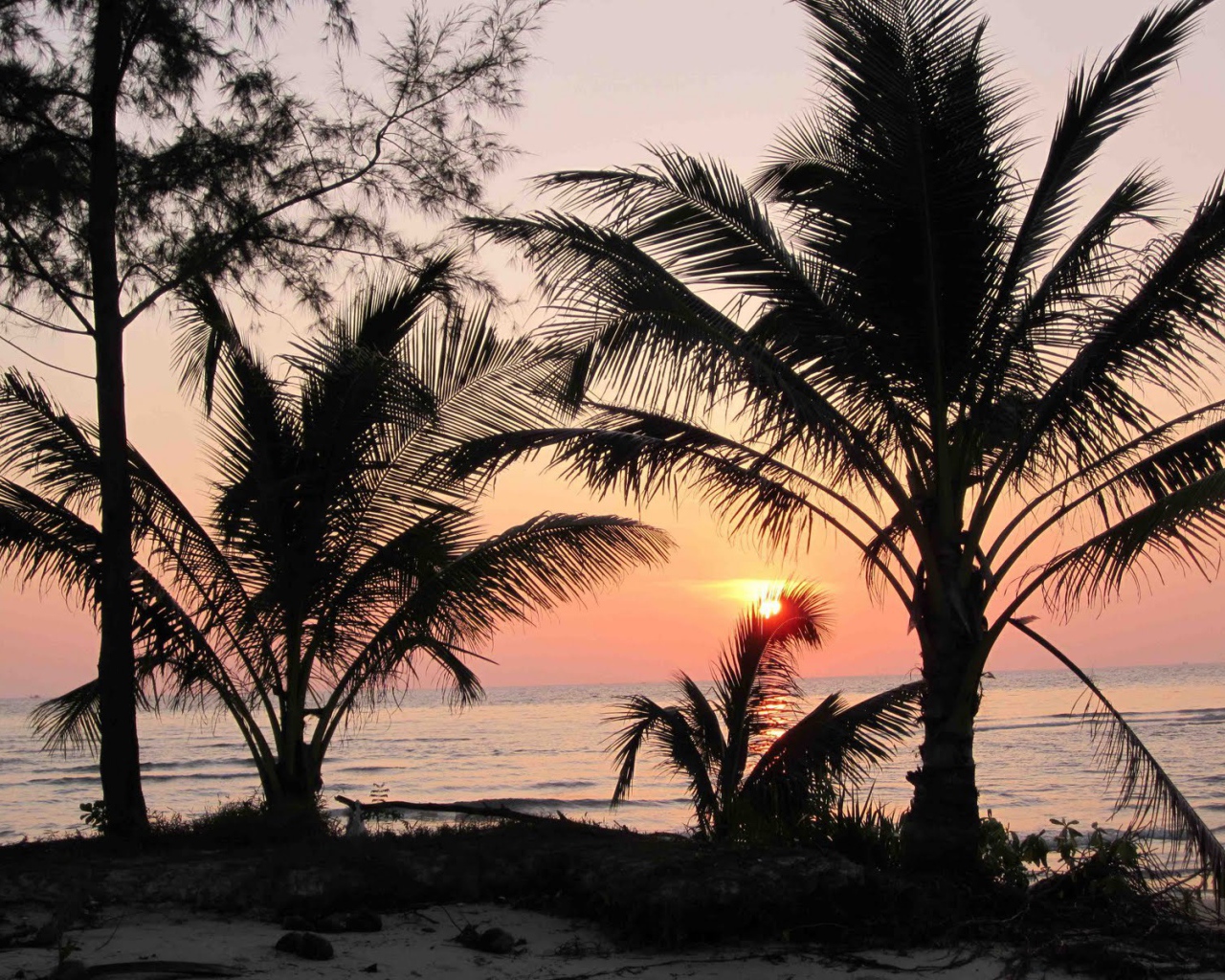 Закат среди пальм на острове Ко Куд, Таиланд