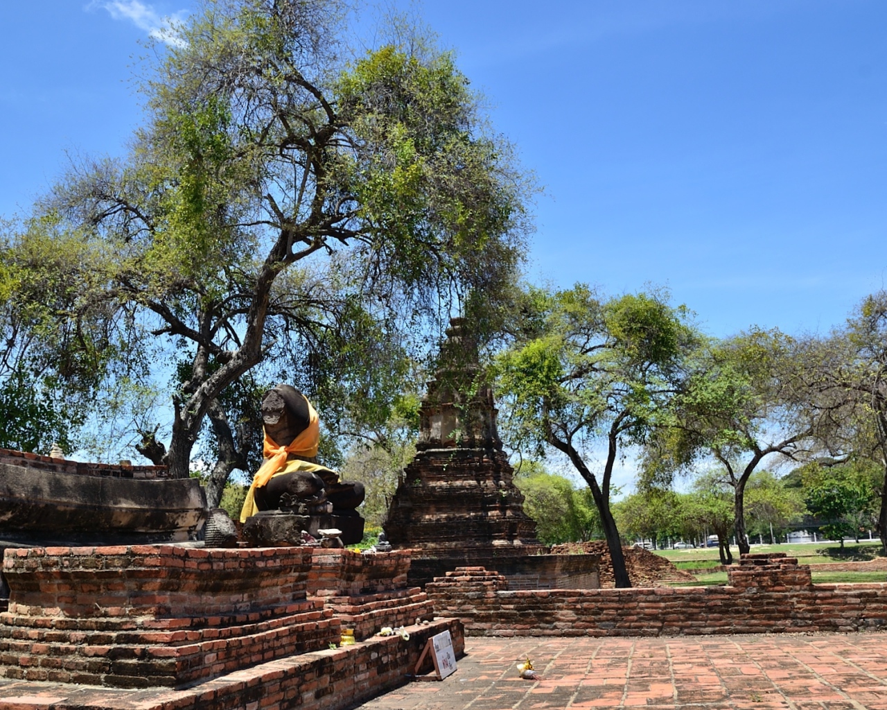 Деревья среди развалин храма на курорте Аютайя, Таиланд
