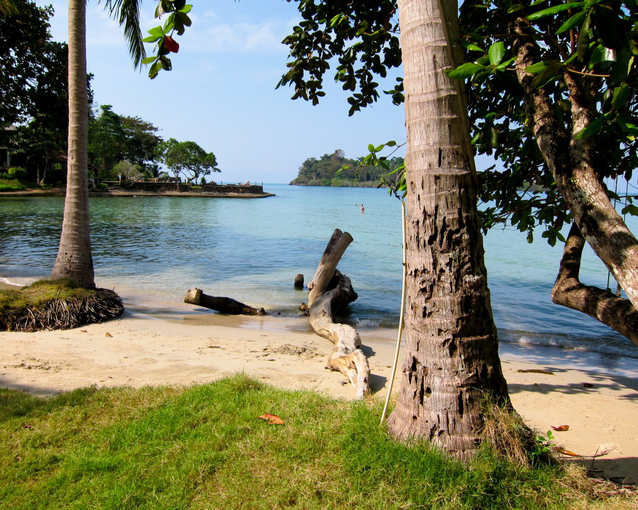 Деревья на пляже на курорте Районг, Таиланд