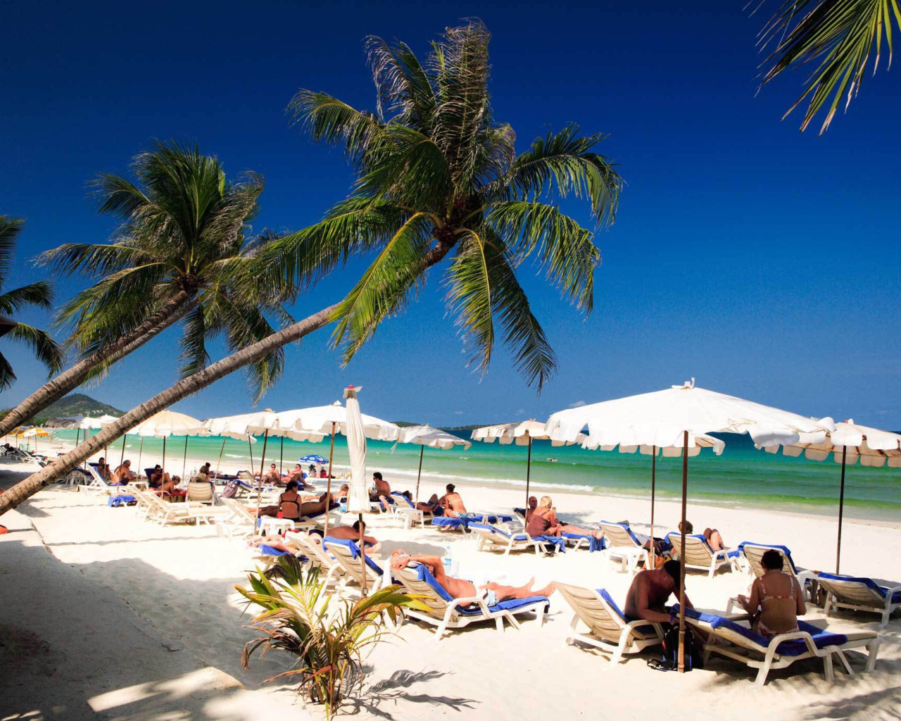 Зимний отдых на острове Самуи, Таиланд