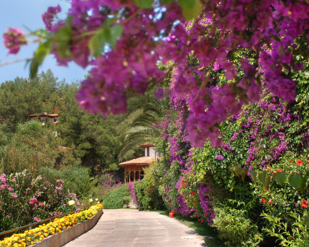 На курорте Фетхие, Турция