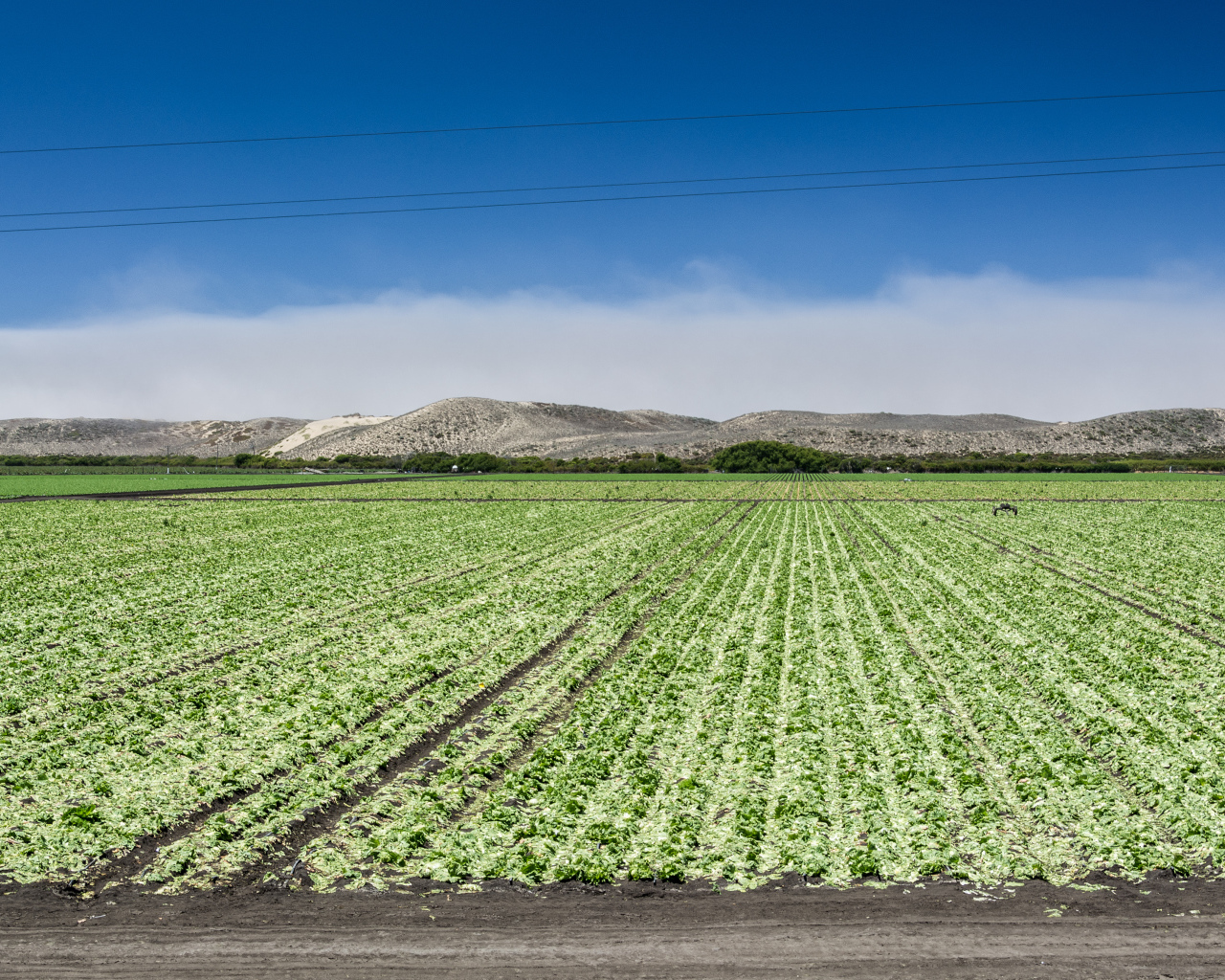 Между Монтерей и Санта-Крус, штат Калифорния, США
