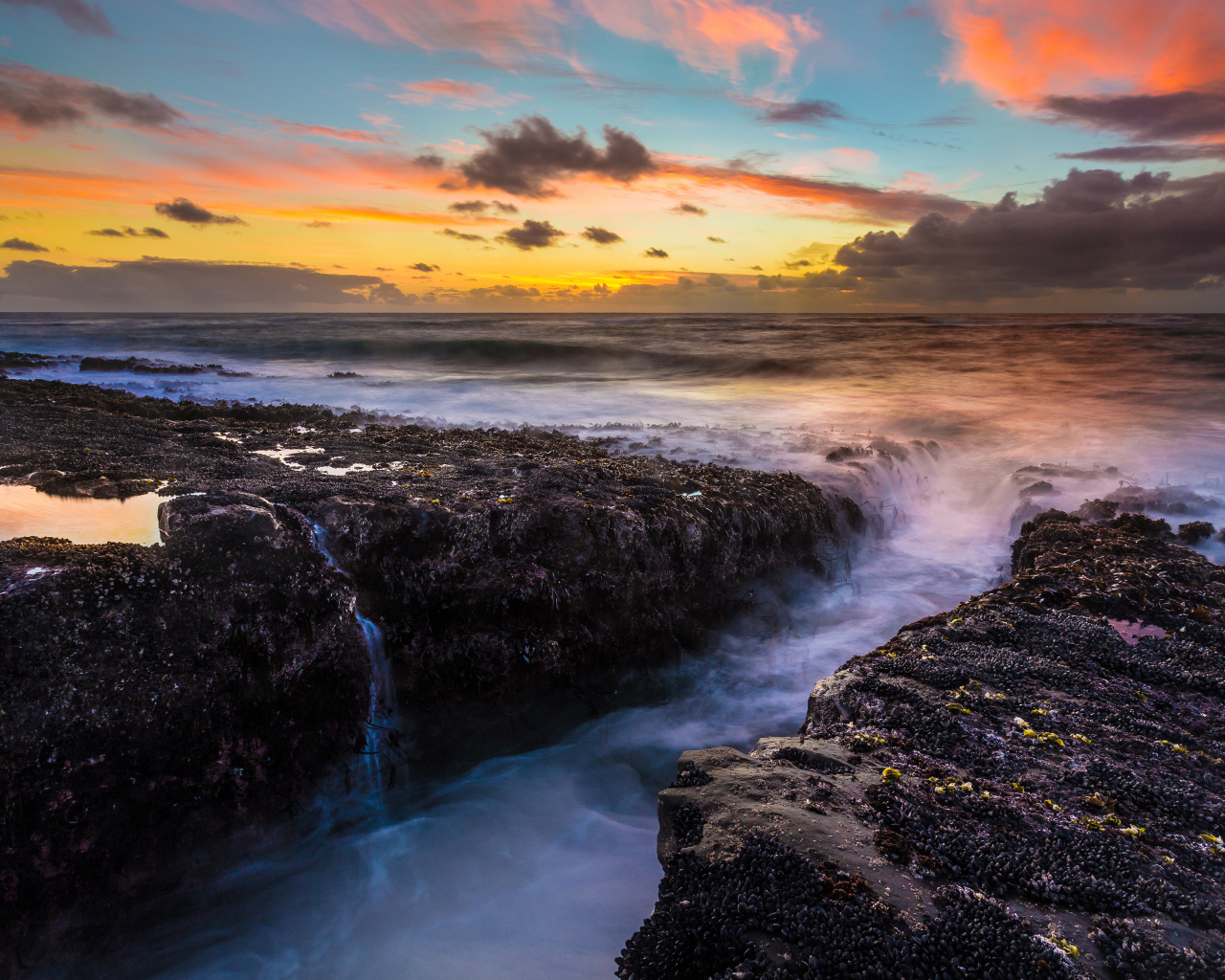 Парк штата Кейп Араго, США