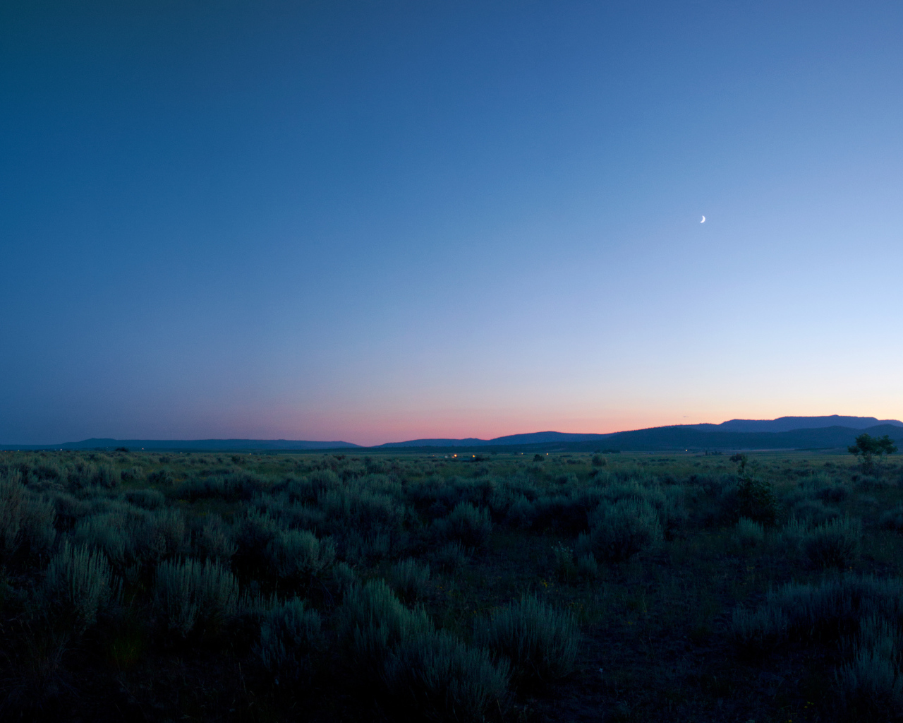 Лэйквью, Орегон, США