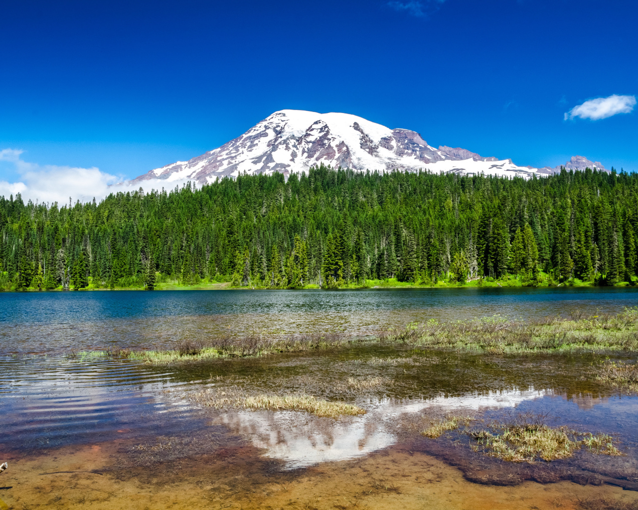 Национальный парк Маунт-Рейнир недалеко от Сиэтла, США