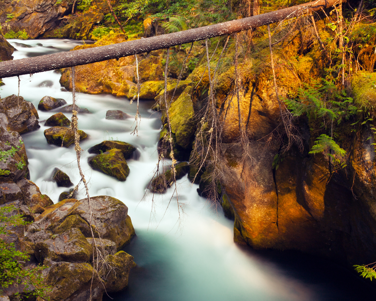 Река Северная Ампкуа, Орегон, США