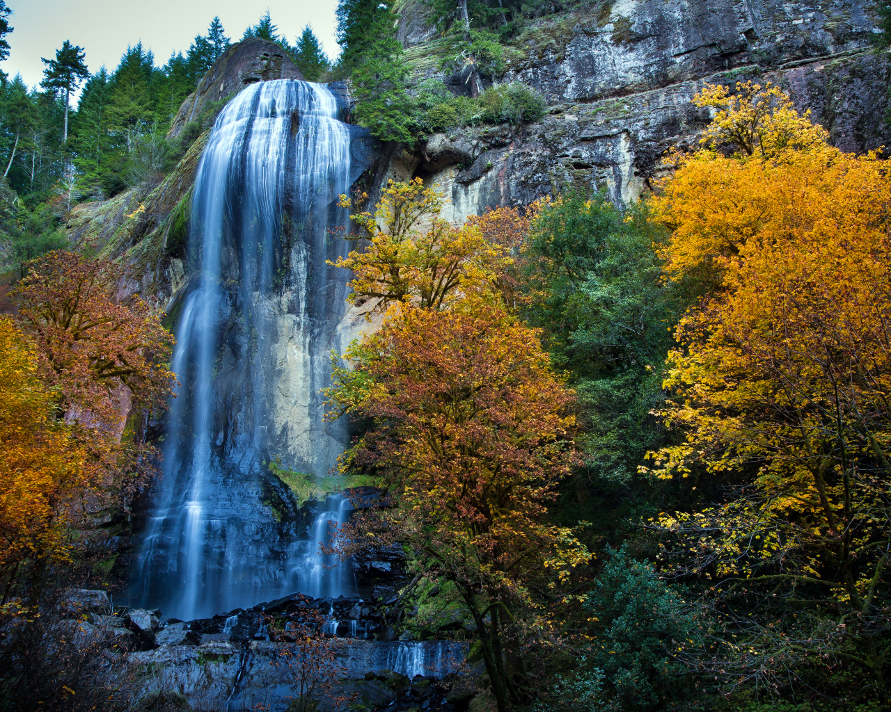 Парк Сильвер Фоллс, Западная Орегона, США