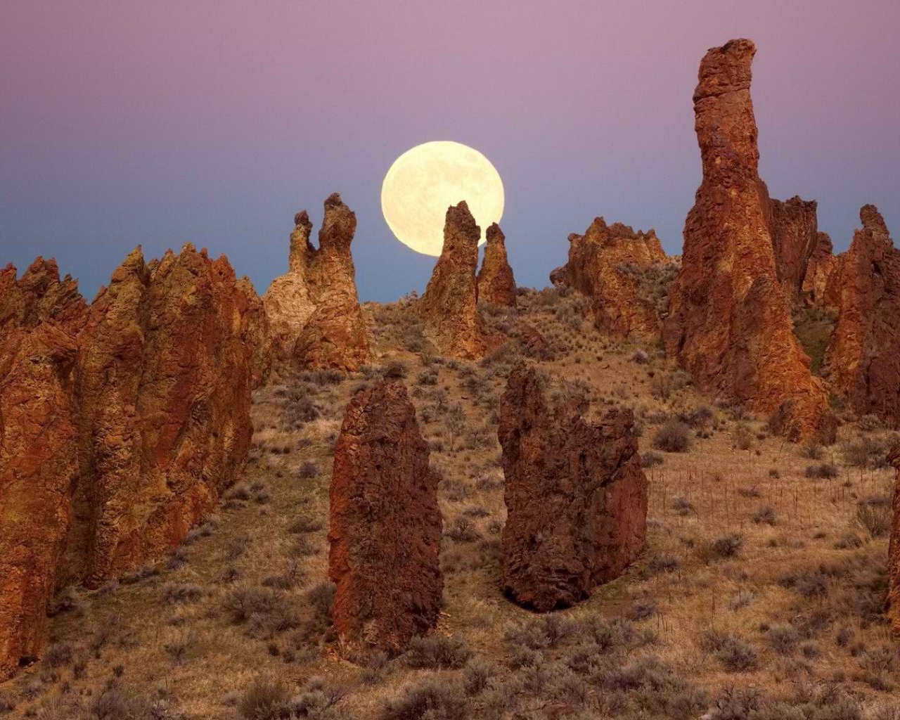 Каменные столбы в Орегоне