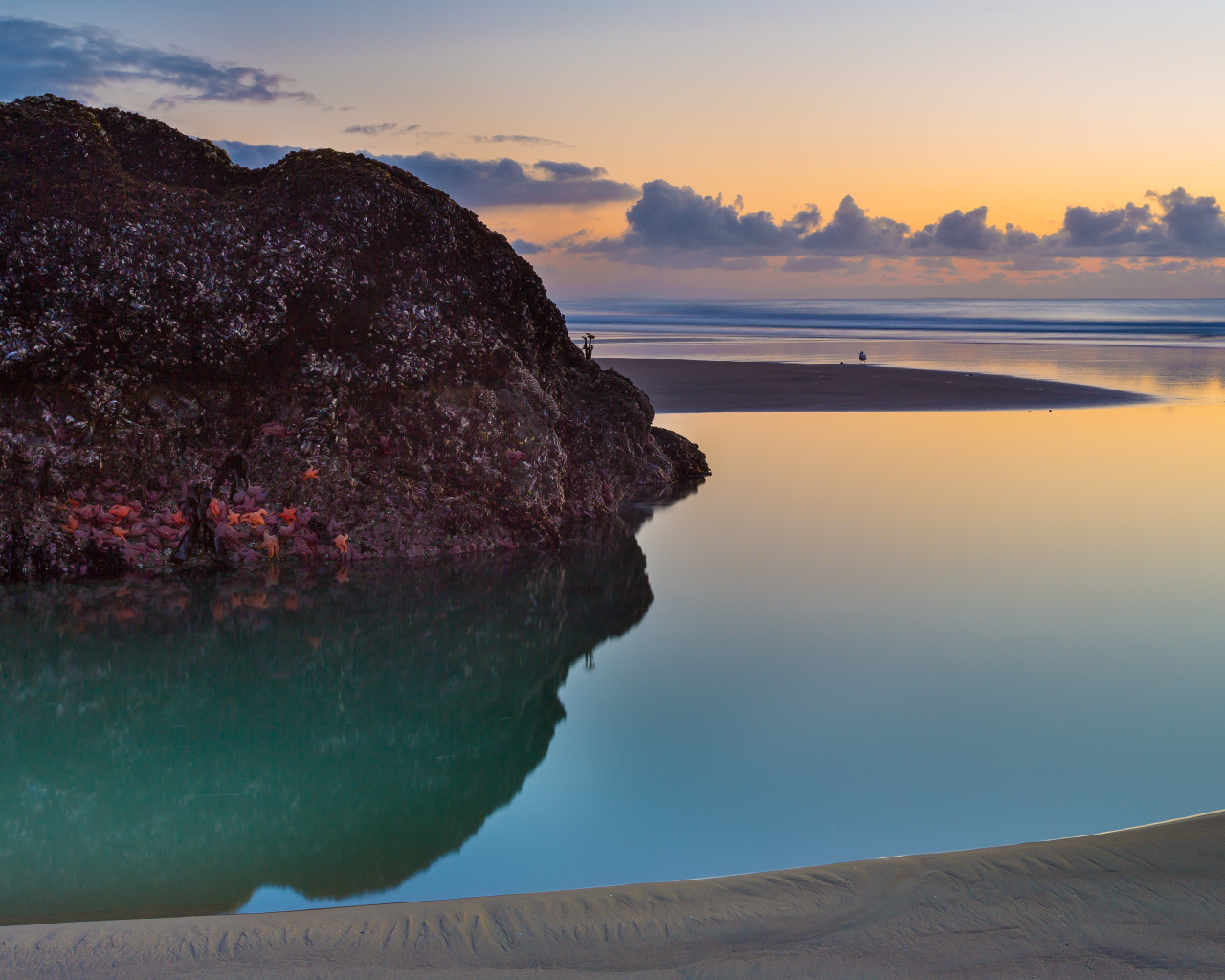 Камни на пляже Бэндон, США