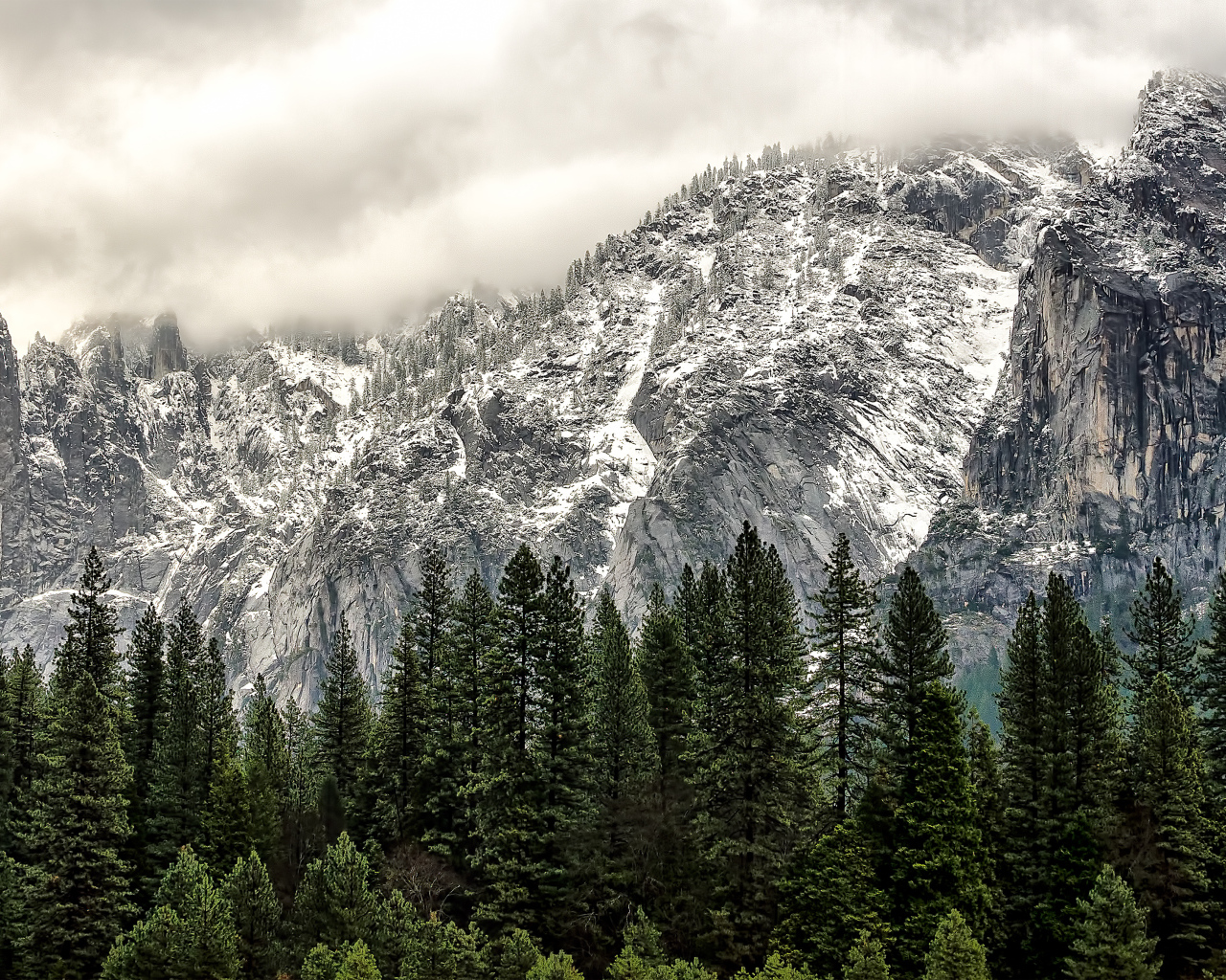 Национальный парк Йосемити, Калифорния, США