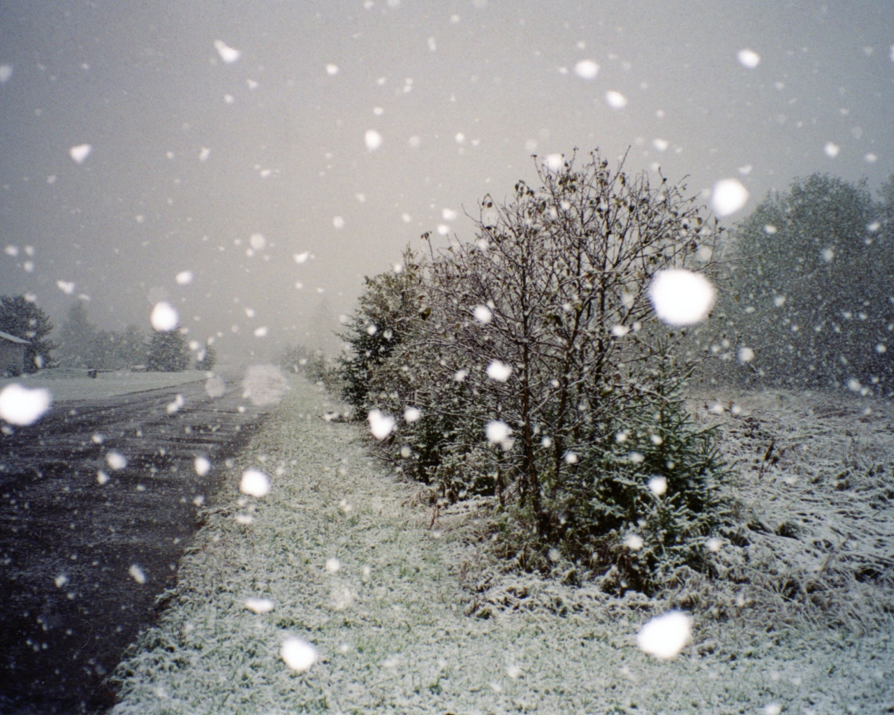 Поездка по зимнему Харькову