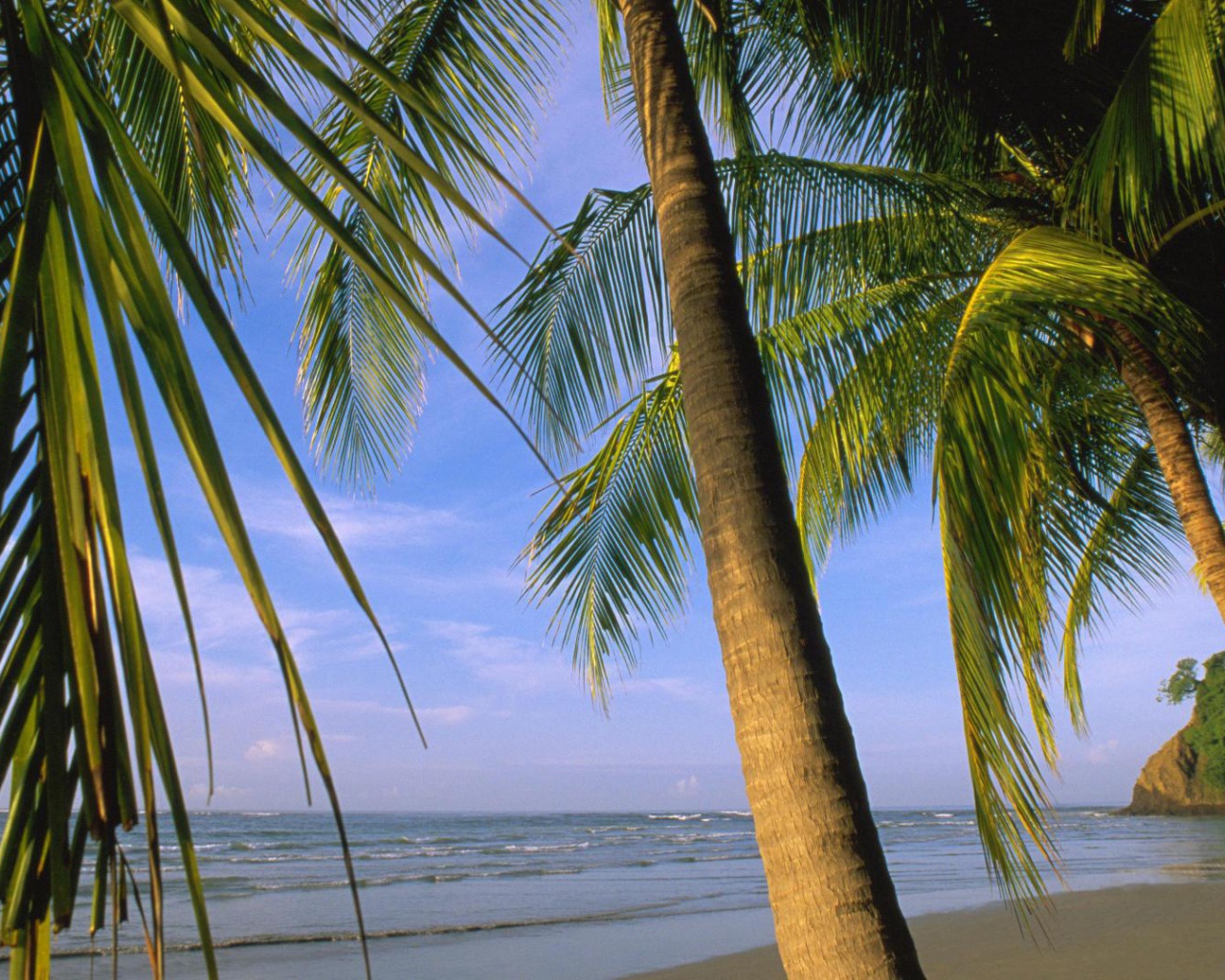 Потрясающая Погода Коста-Рика