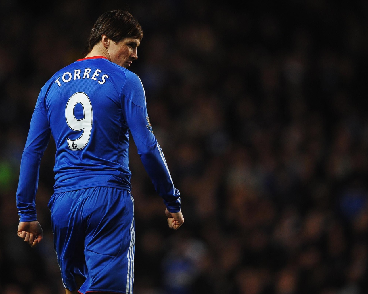 Спина Фернандо Торреса