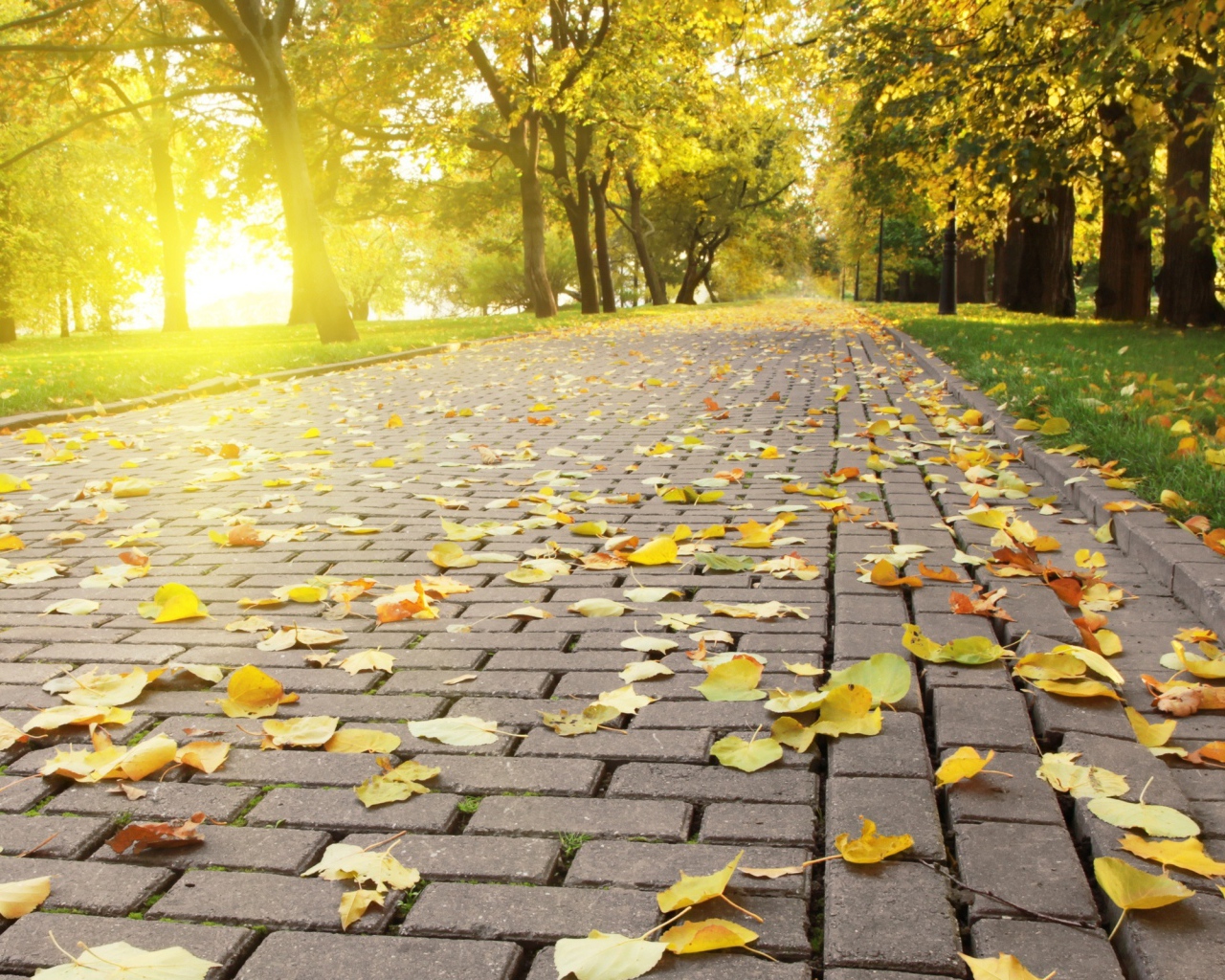 Красивая осень в Киеве