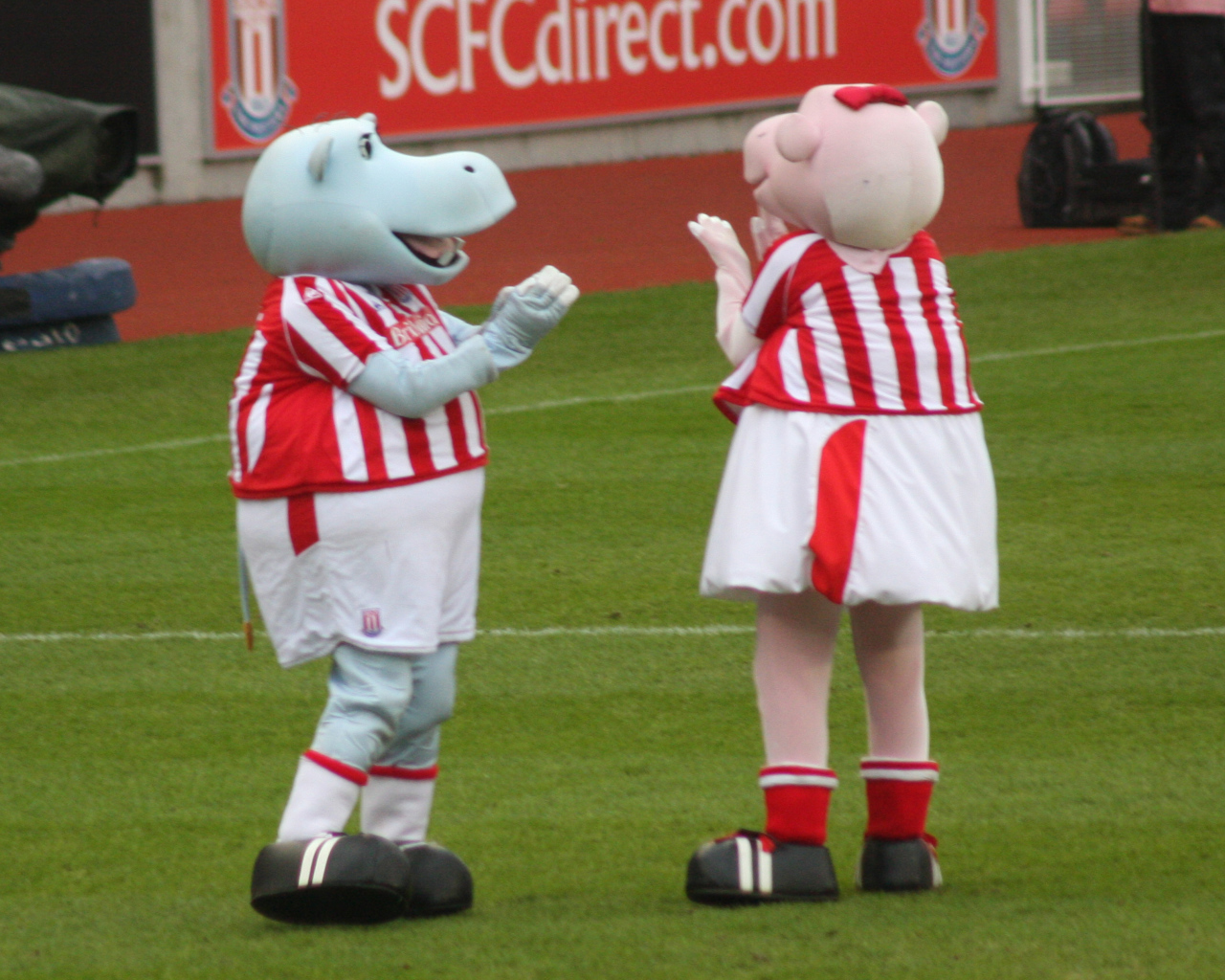 Возлюбленный ФК Англии Сток Сити