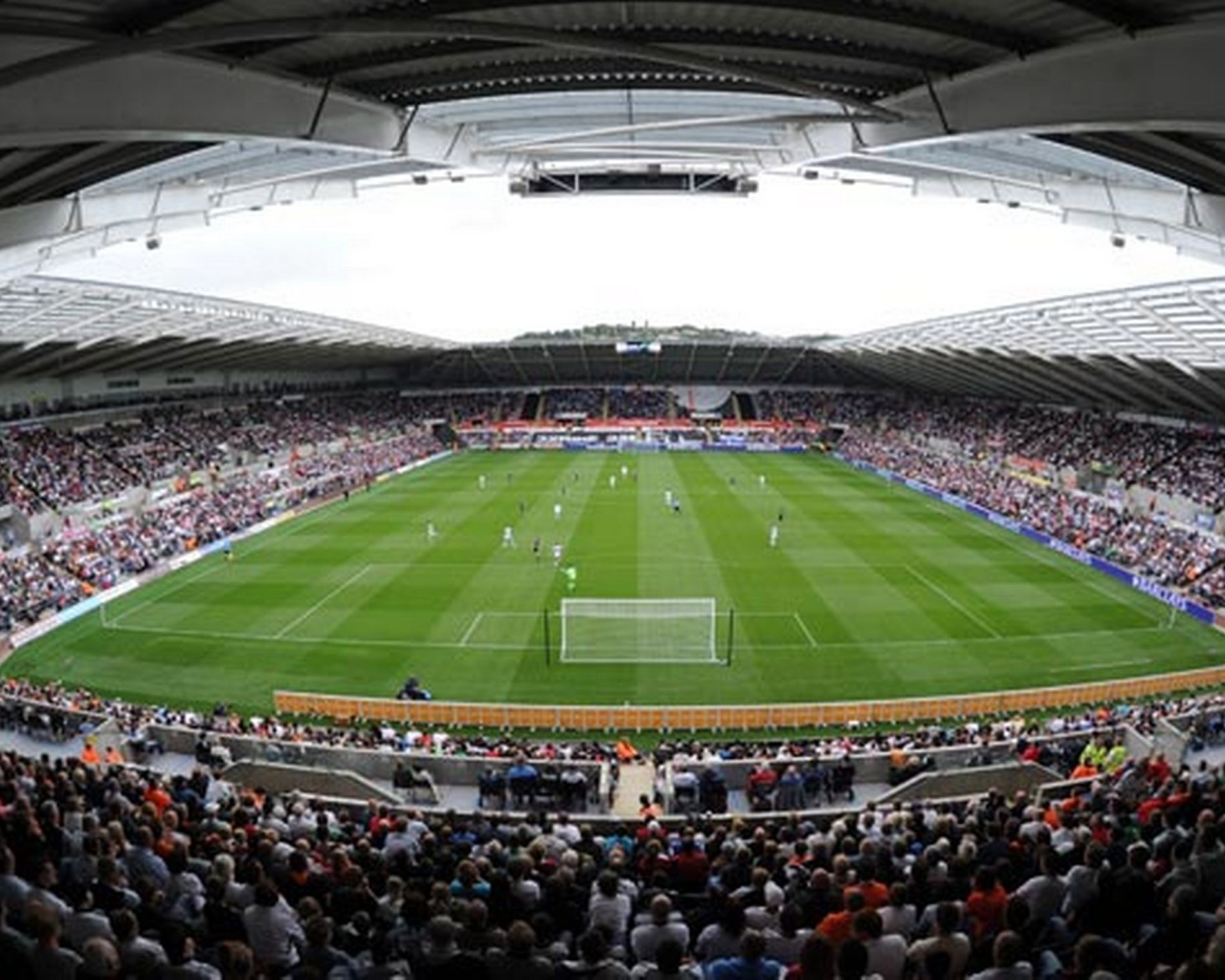 Возлюбленный Футбольный клуб Англии Суонси Сити