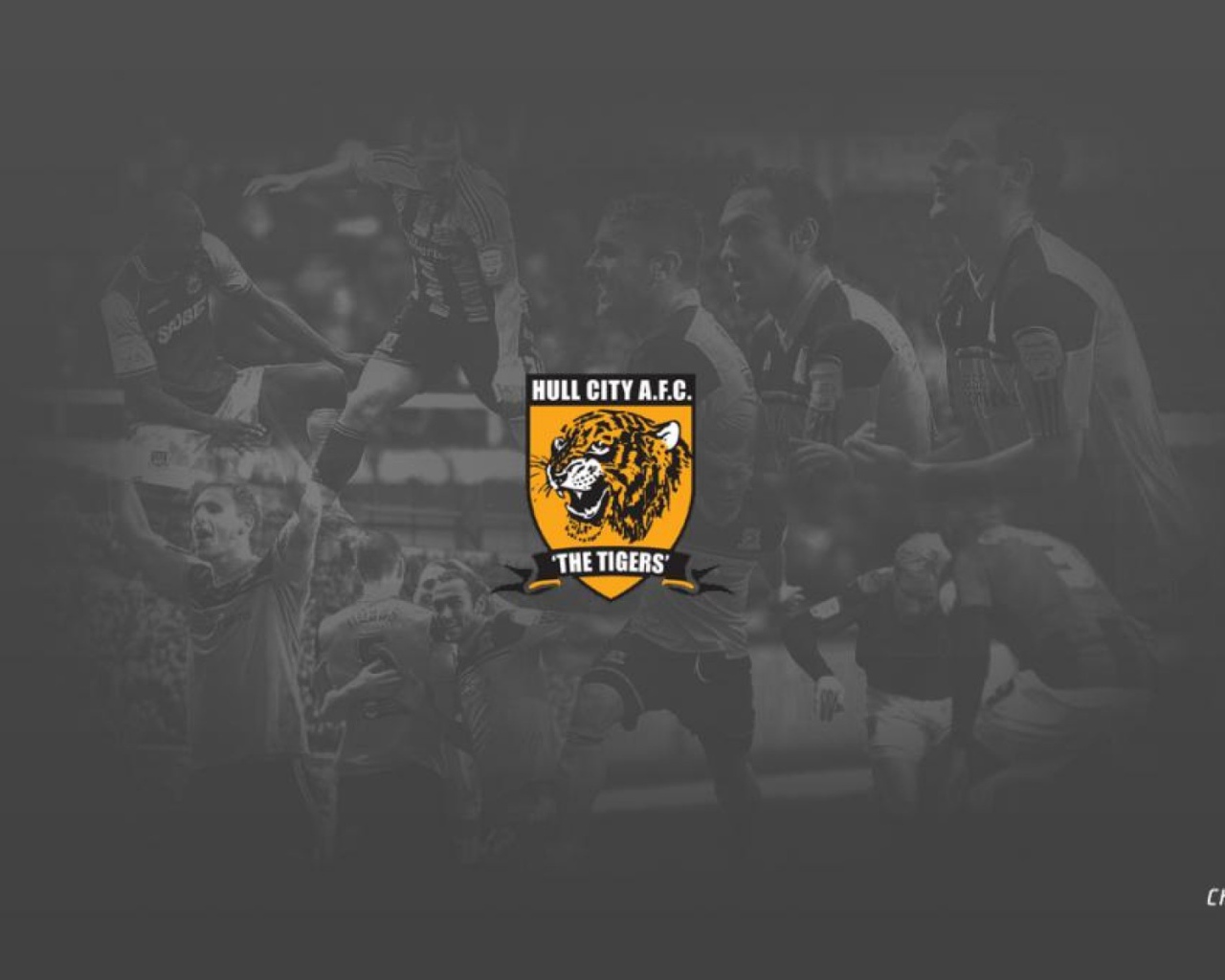 Возлюбленный ФК Англии Халл Сити