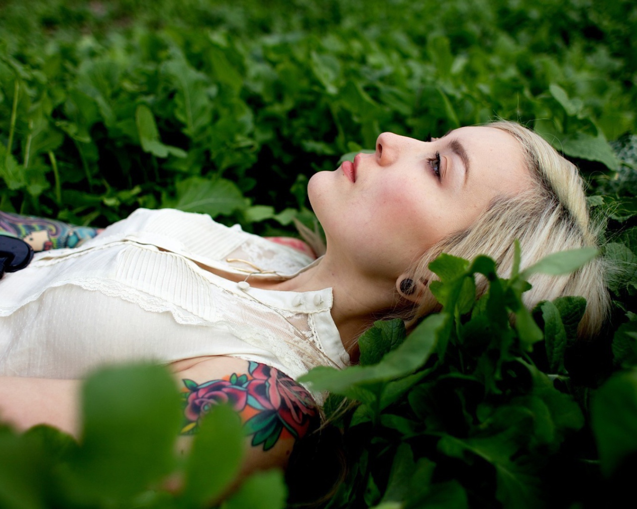 Блондинка лежит в траве