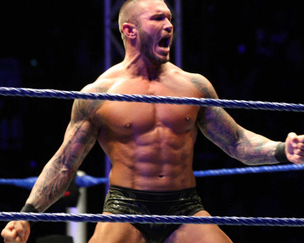 Боксер на арене