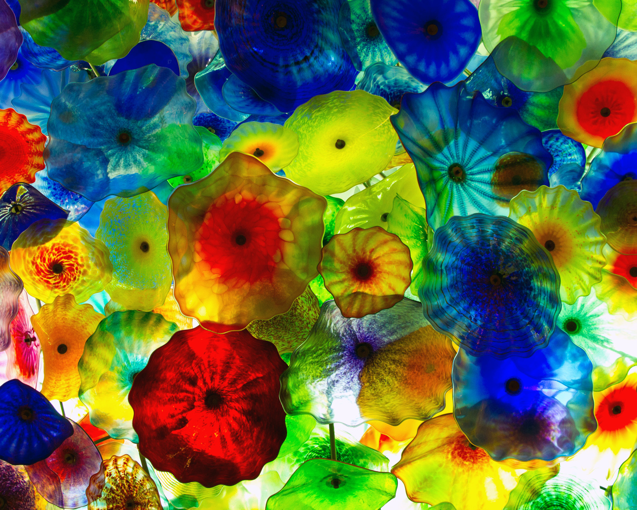 Креативная многоцветная фотография