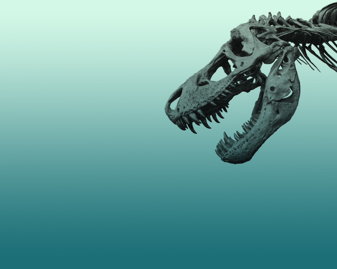 Череп динозавра