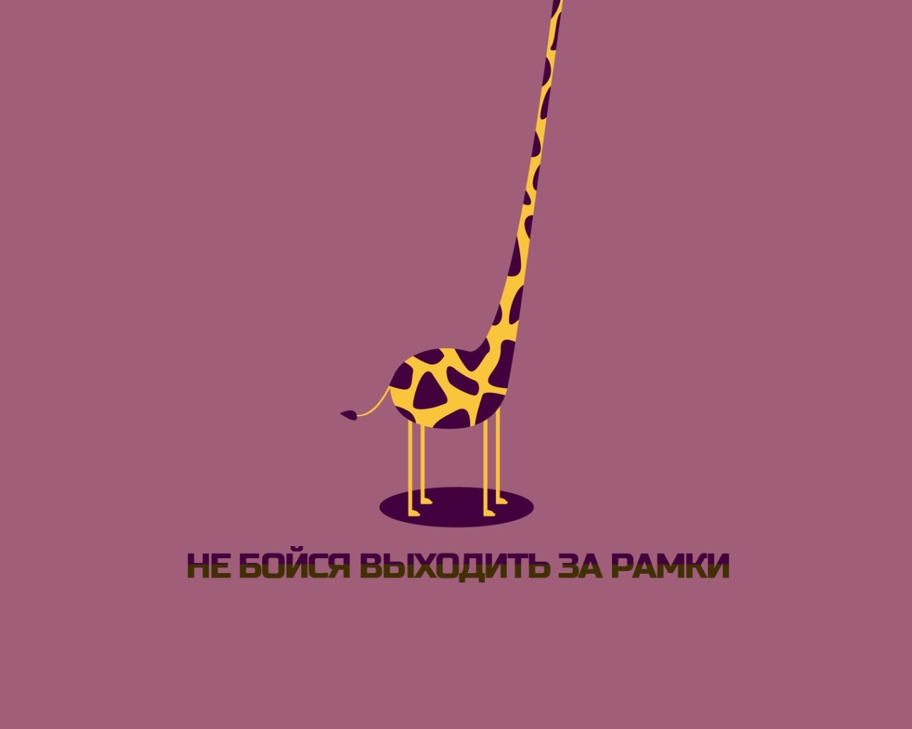 Не бойся выходить за рамки