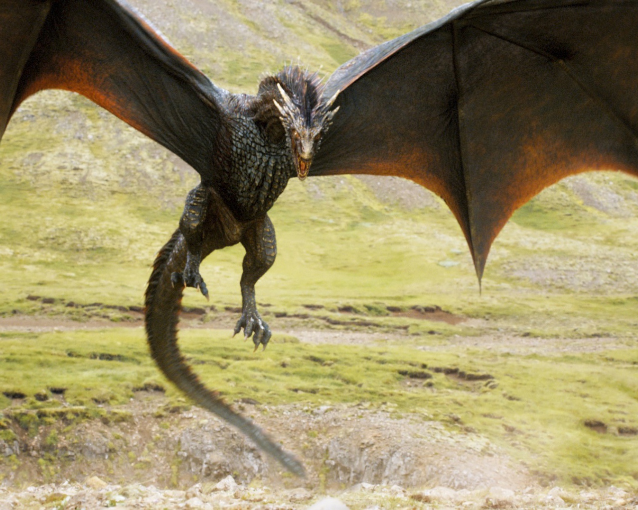 Дракон из сериала Игры престолов