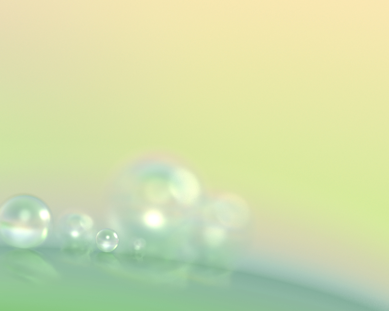 Капли утренней росы