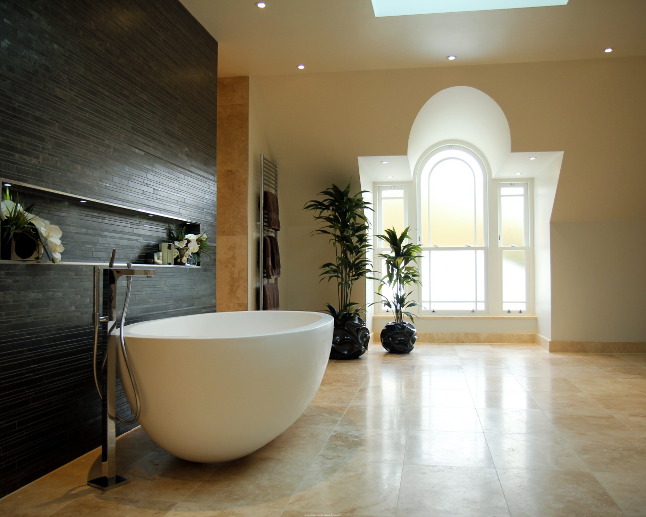 Яйцевидная форма ванной