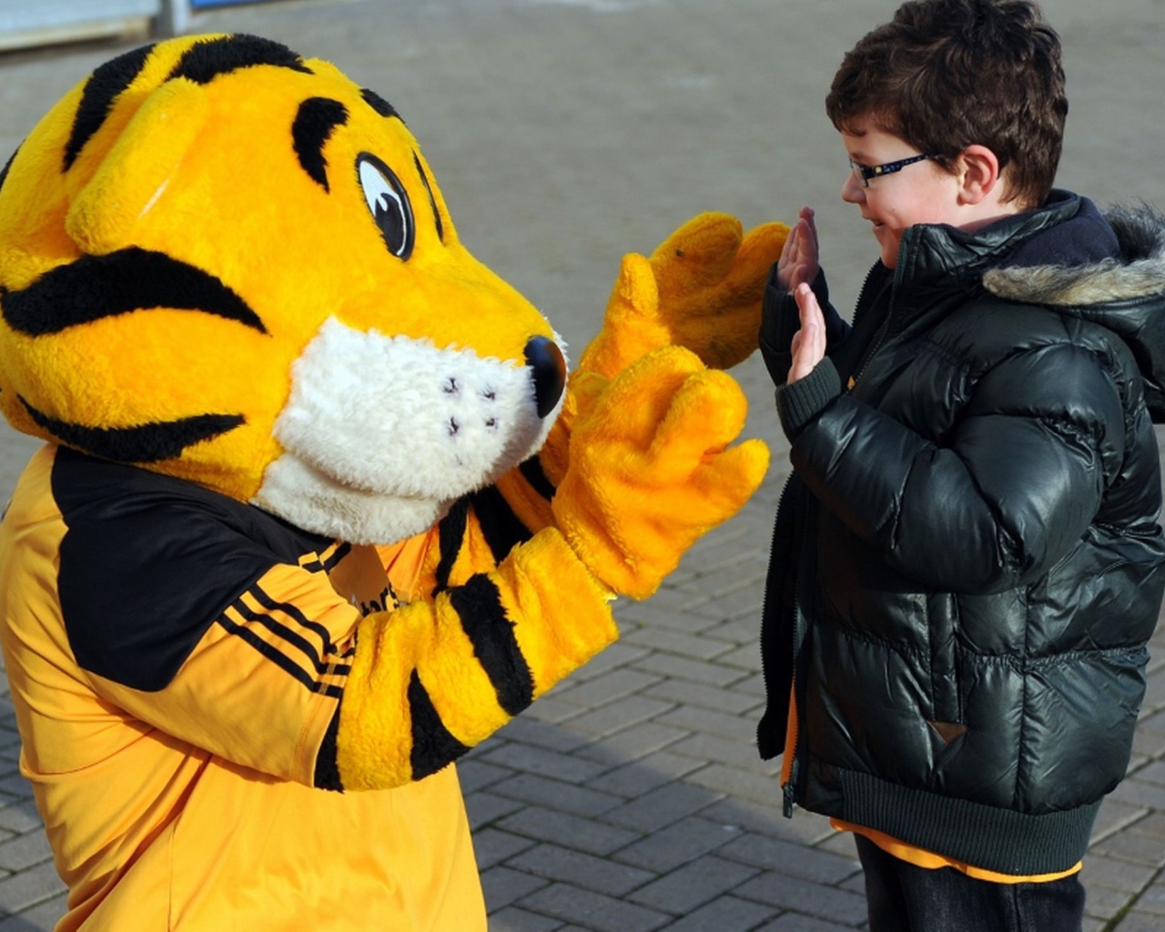 Знаменитый футбольный клуб Халл Сити