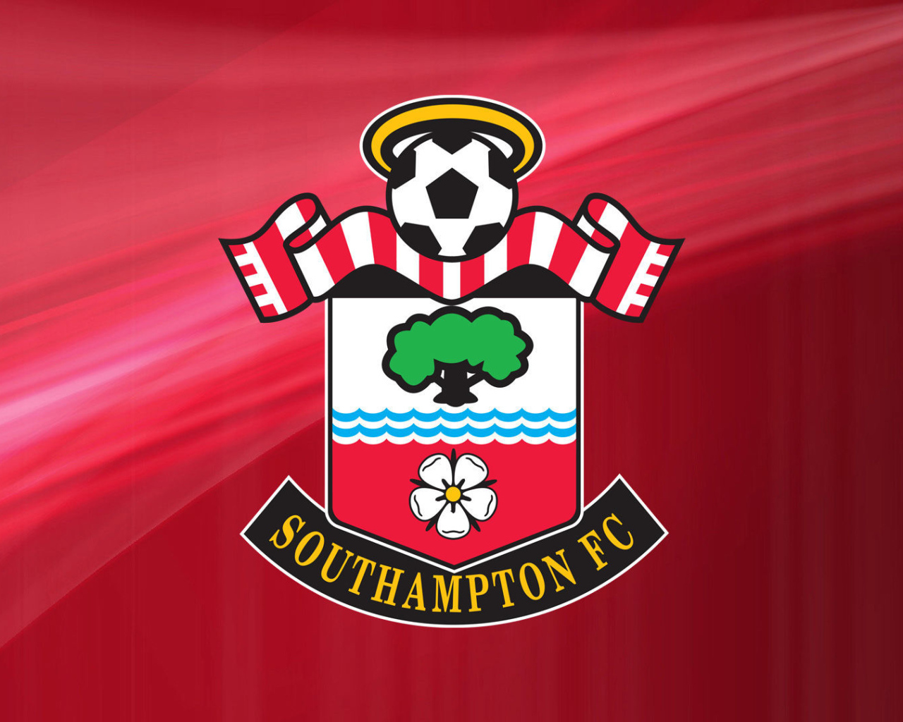 Famous Football club Southampton