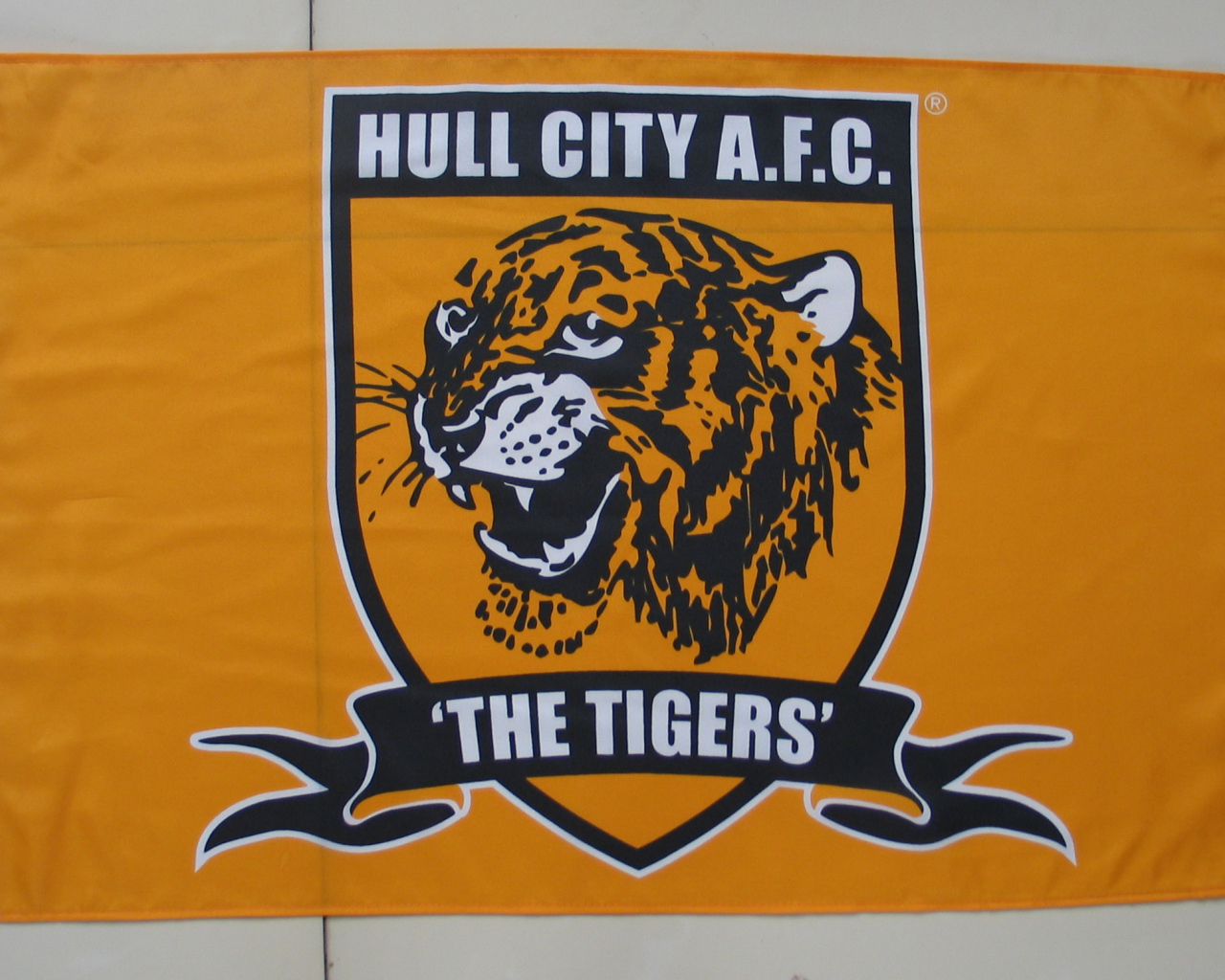 ФК Халл Сити Тигры