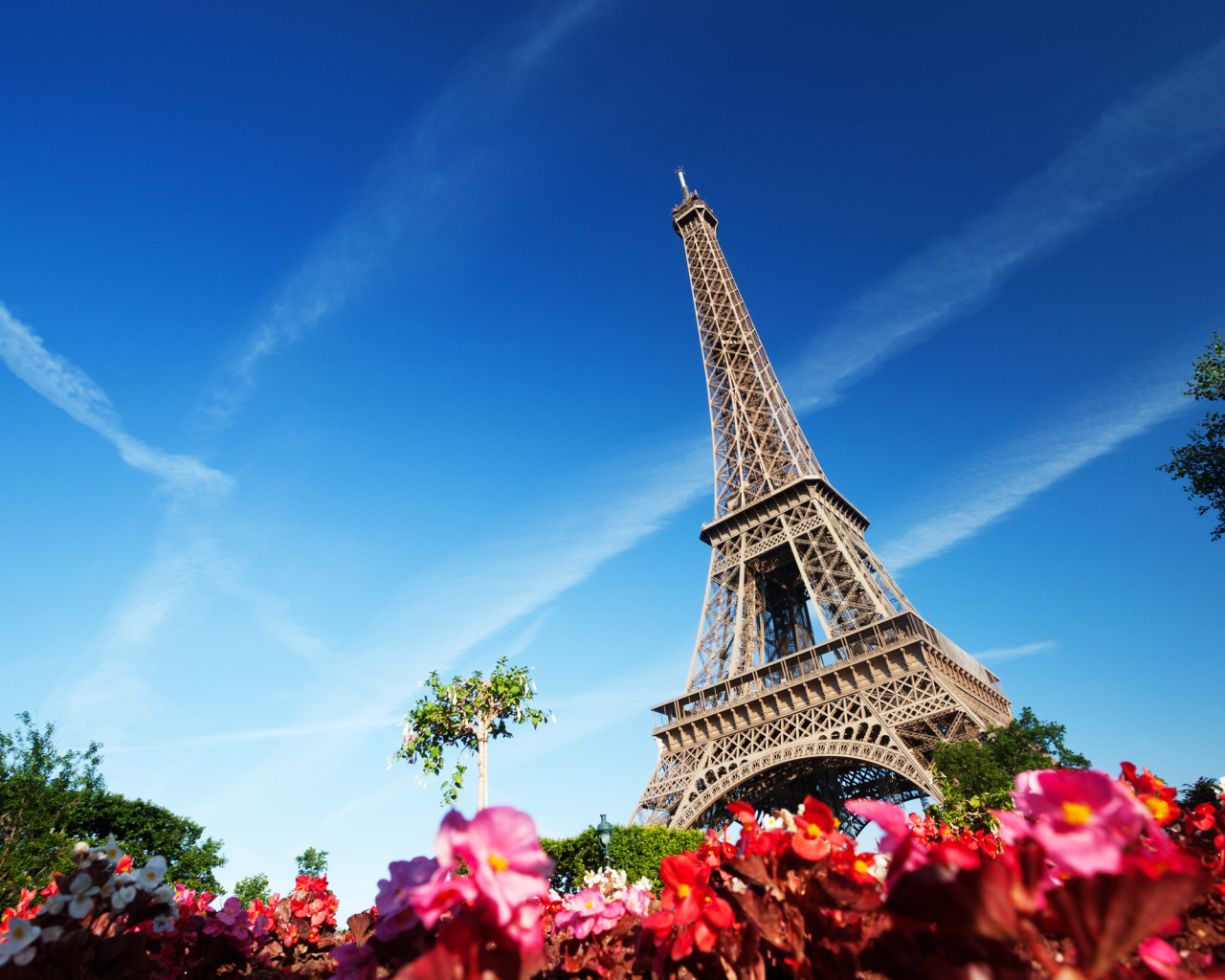 Flowers and Eiffel Tower