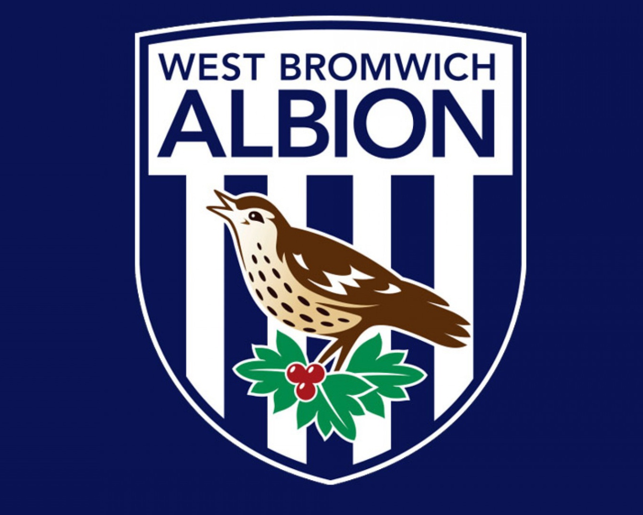 Футбольный клуб Англии Вест Бромвич Альбион