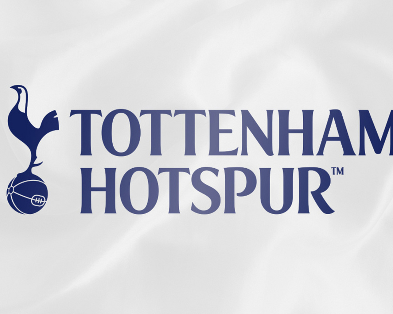 Футбольный клуб Англии Тоттенхэм