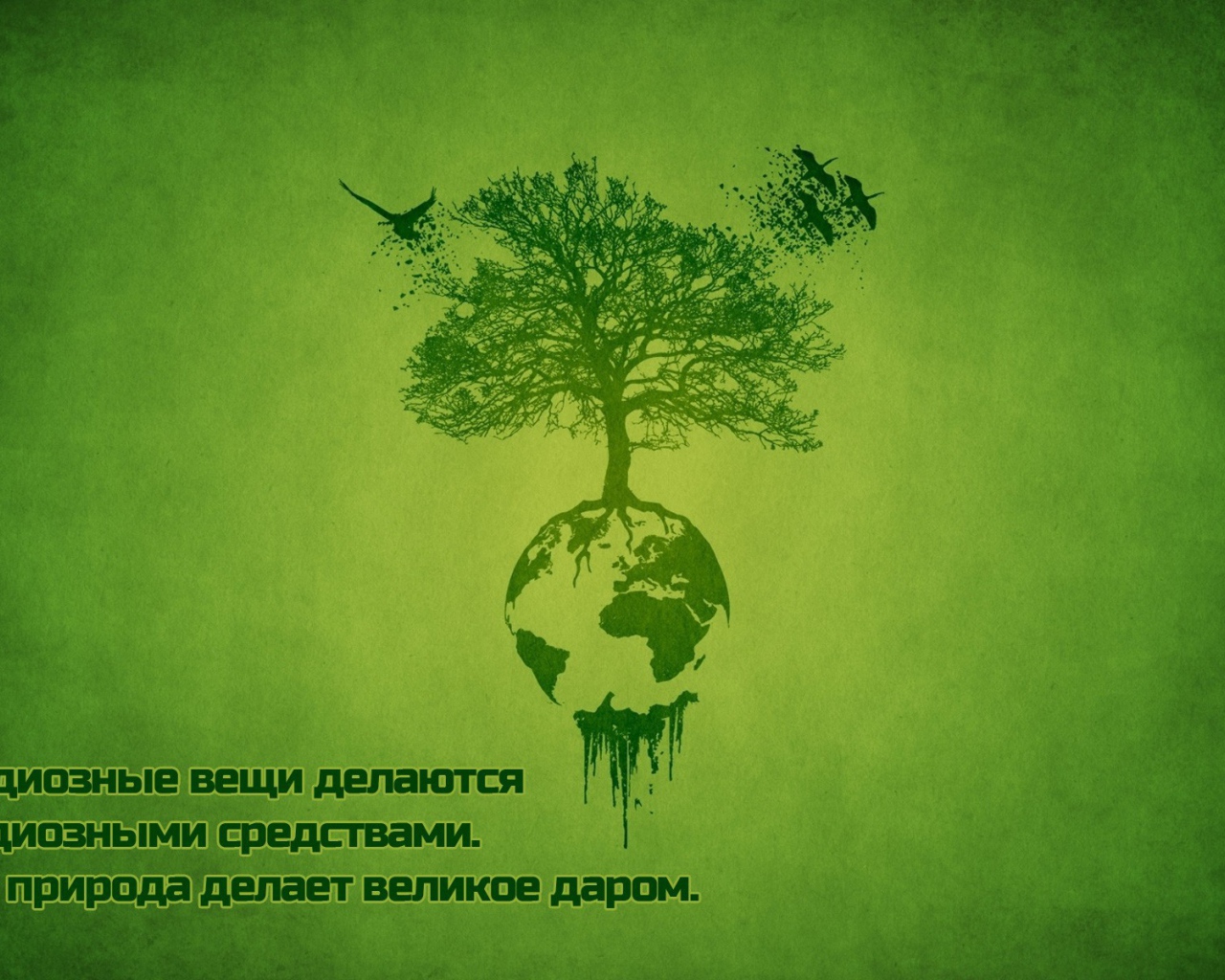 Сила природы для всех