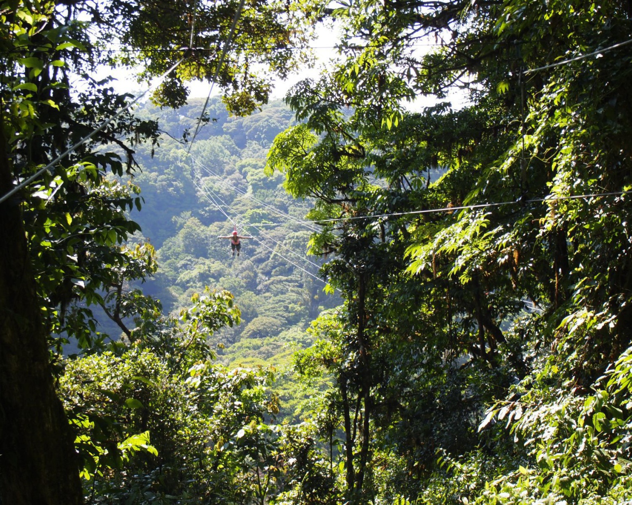 Веселье в Коста-Рика