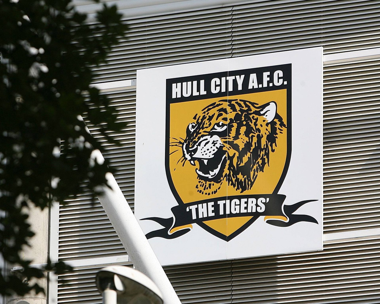 Халл Сити тигры