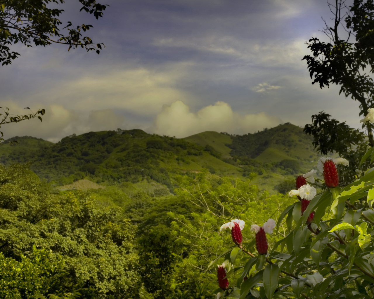 Пейзаж на Коста-Рика