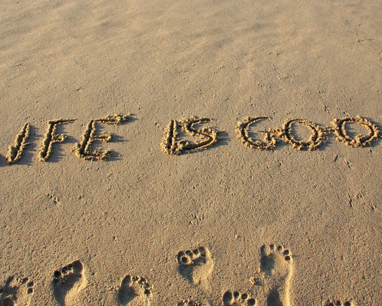 Жизнь хорошая штука