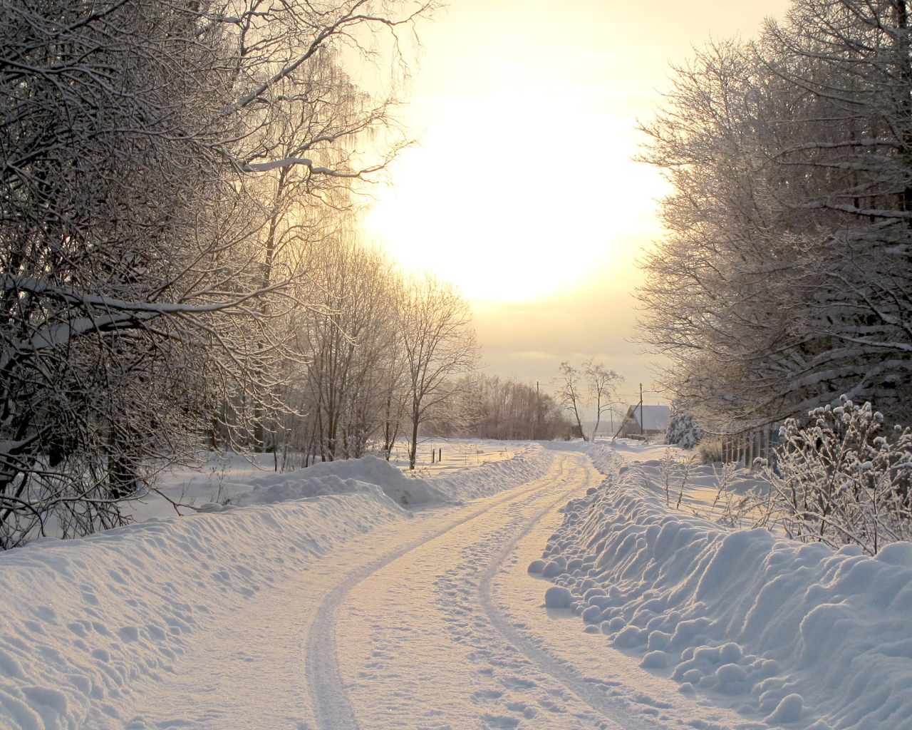 Утро за городом в Киеве