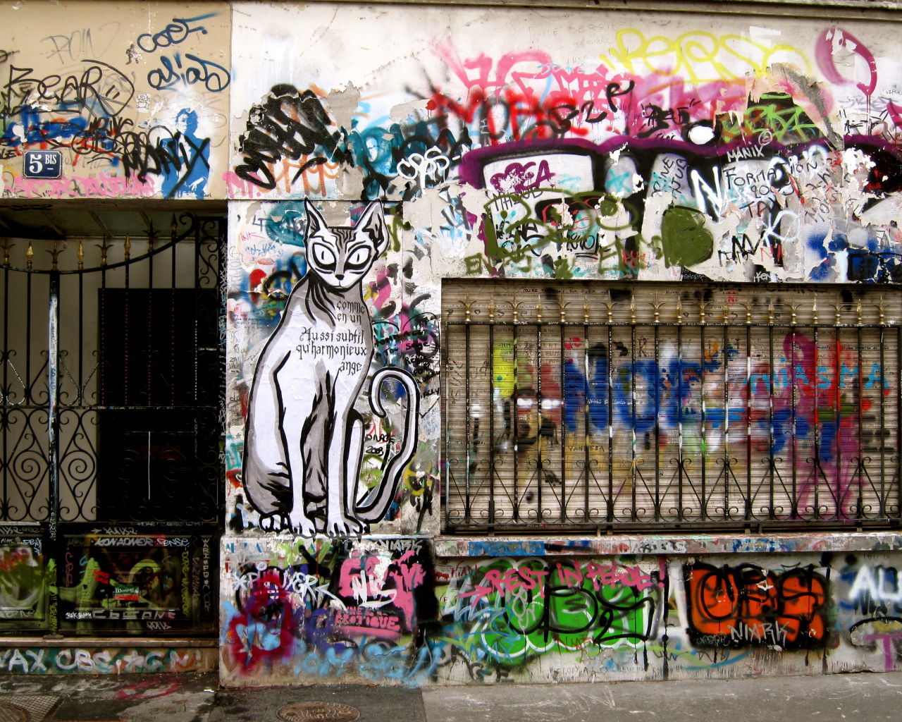 Нарисованный кот